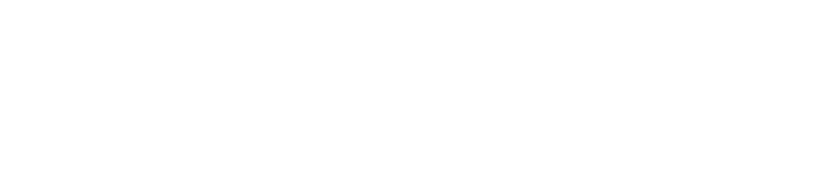 Seese Pro